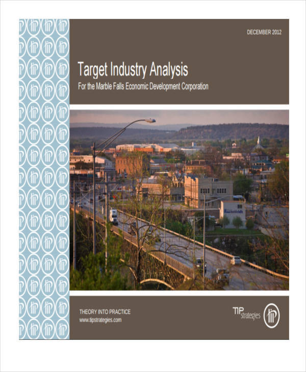 target company analysis2