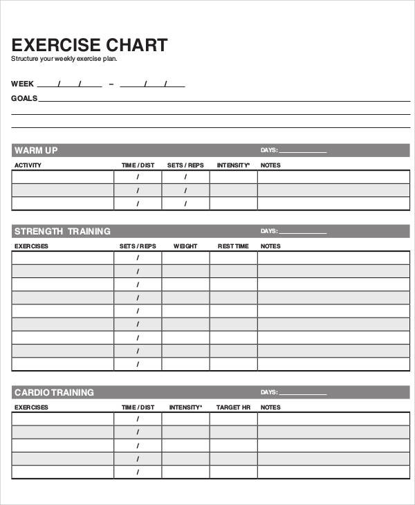 FREE 9 Exercise Chart Templates In PDF MS Word