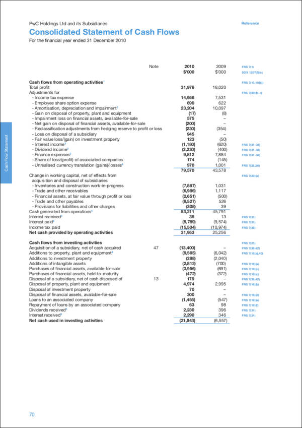 consolidated statement of cash flow sample