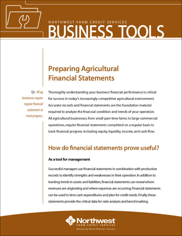 sample agricultural financial statement