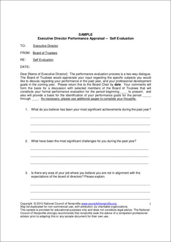 sample ceo self evaluation form