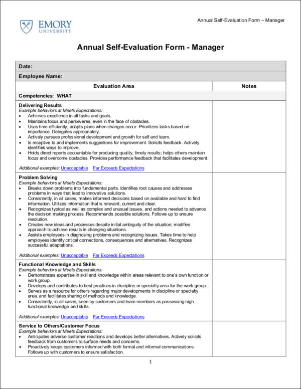 annual self evaluation form template