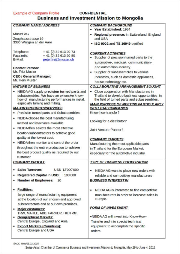 Simple Business Profile Template