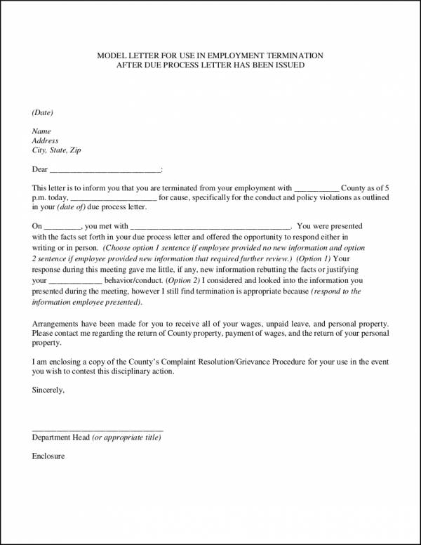 Voluntary Termination Letter from images.sampletemplates.com