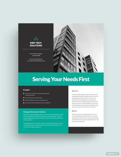 company profile datasheet template