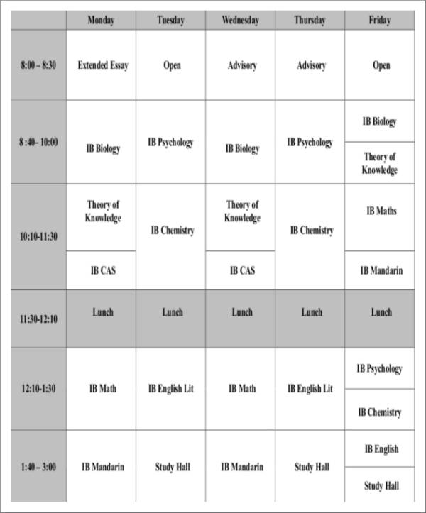 grade11 study schedule sample