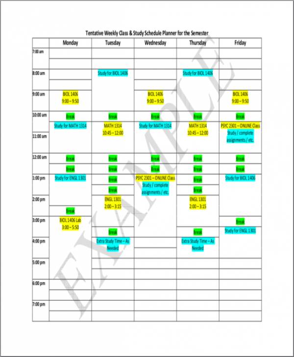 tentative study schedule sample