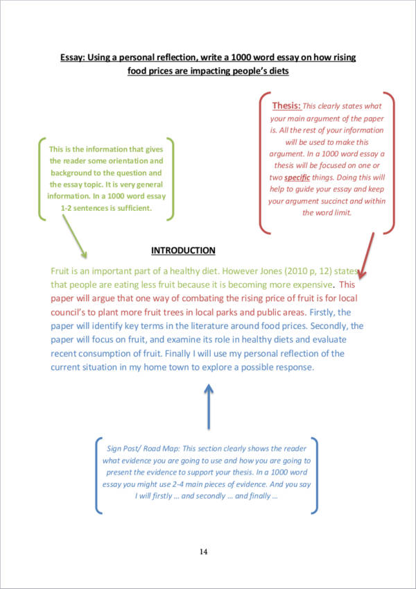 examples of essay format