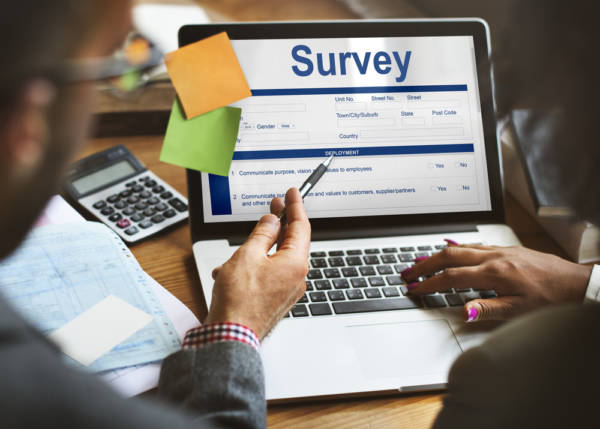business market survey