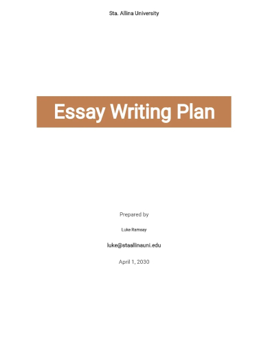 free essay writing plan template