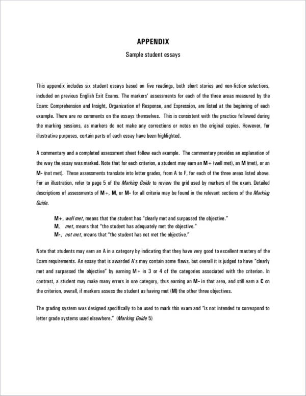 Short Essay Format Example Pdf