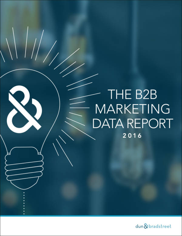 b2b marketing data report writing