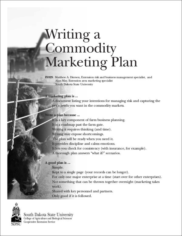 commodity marketing plan writing sample