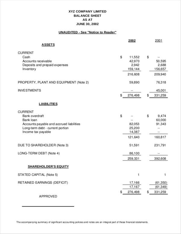 legal financial statement samples