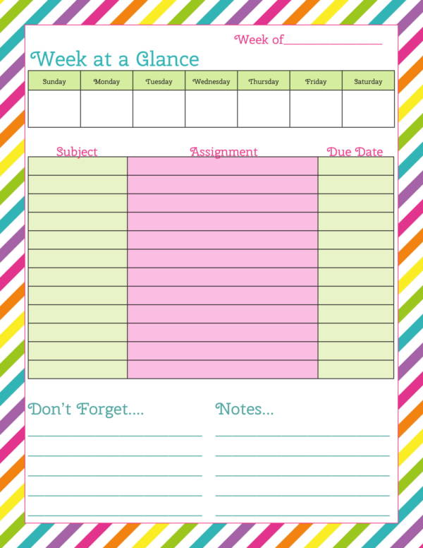 rainbow student planner sample with reading log