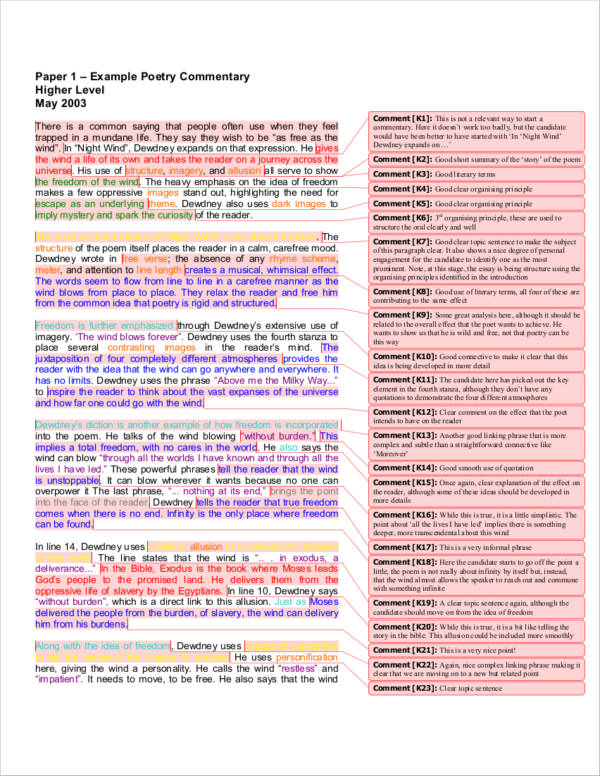 examples of a commentary essay