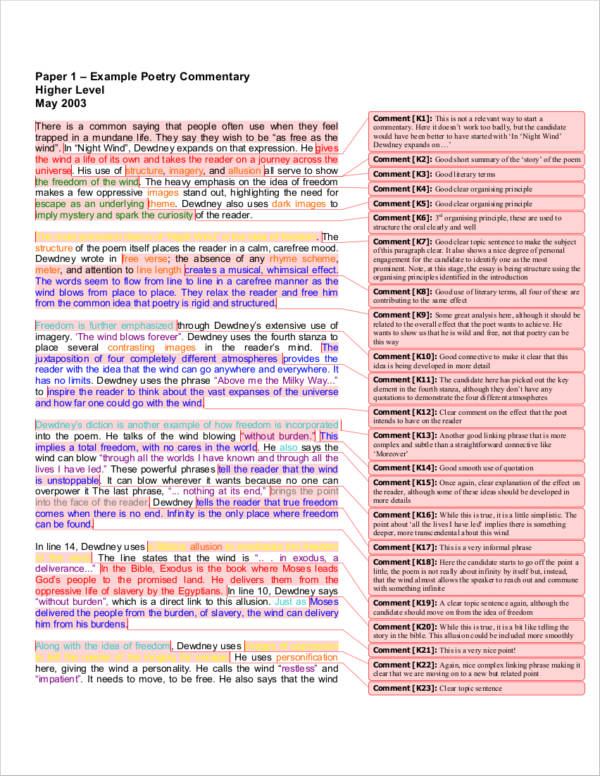 essay commentary examples