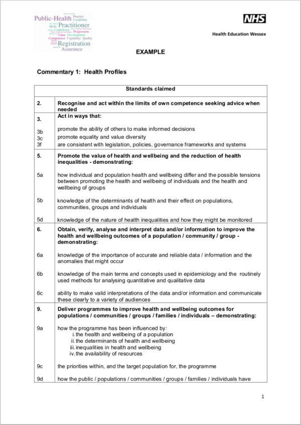 commentary on essay examples