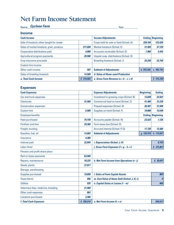 net farm income statement sample