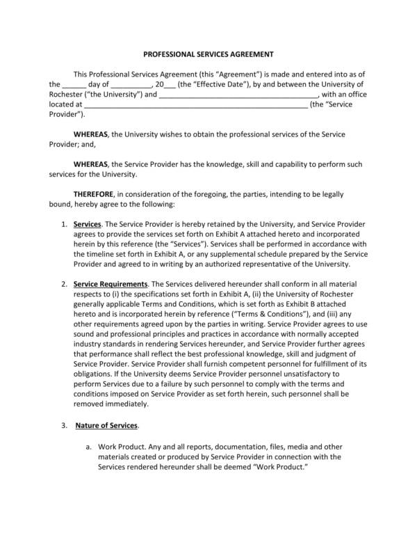 professional services agreement template 1