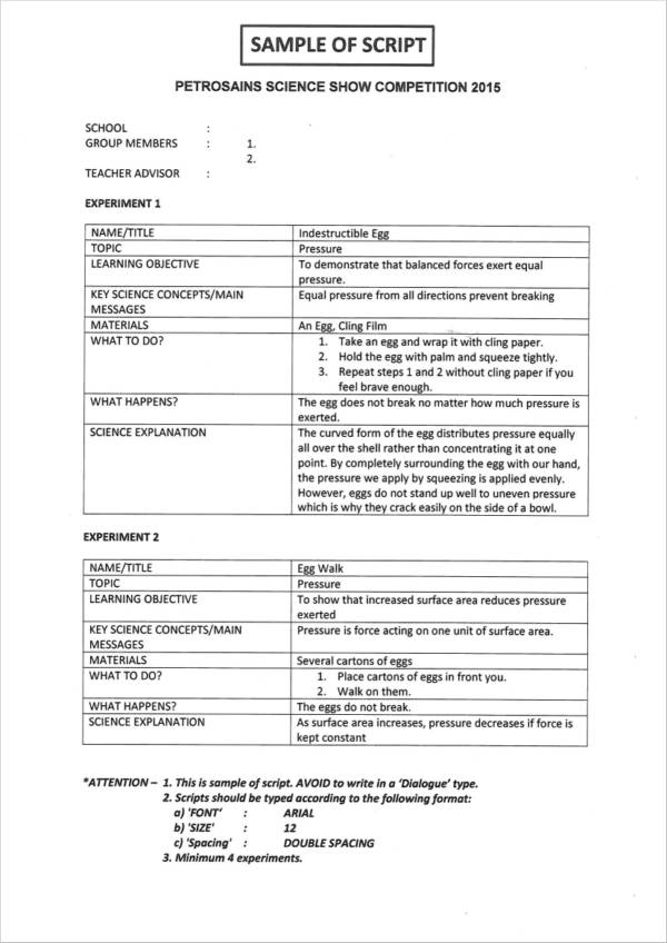 FREE 9 Script Samples And Templates In PDF