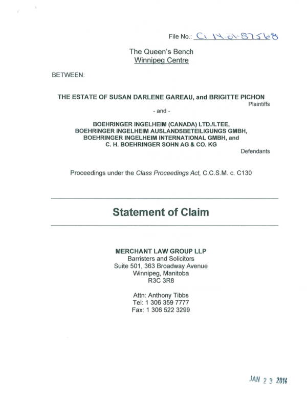 detailed statement of claim sample 01