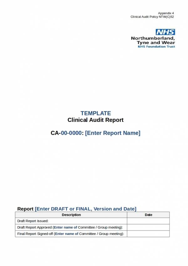 blank clinical audit report teamplate