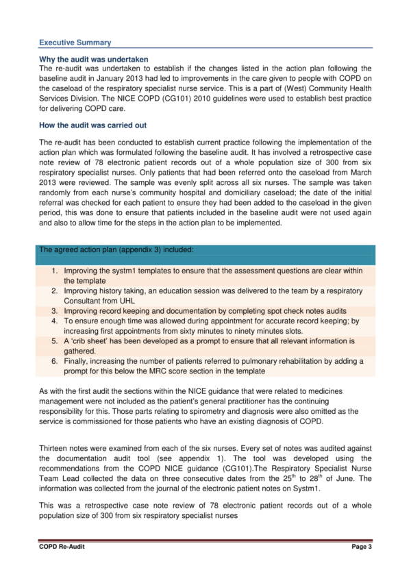 clinical research audit report template