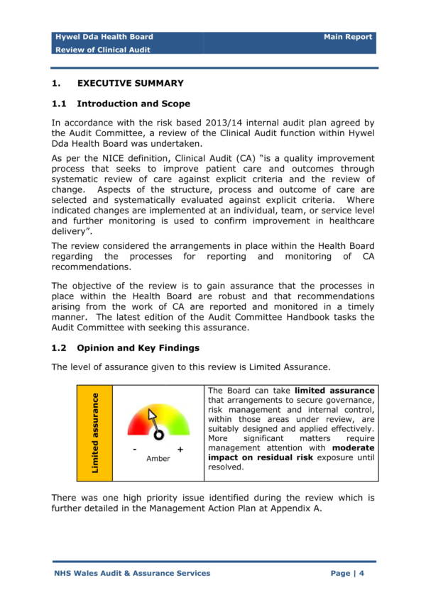 final internal clinical audit report 04