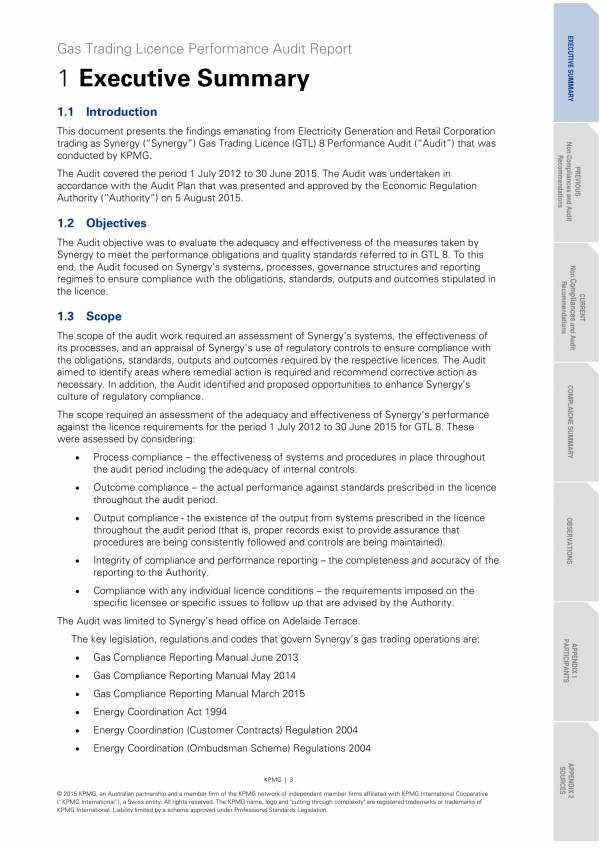 Executive Summary Template Google Docs   Internat Audit Report Sample Template For Gas Performance 003 