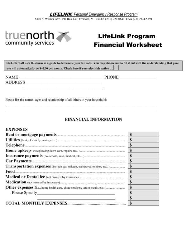 lifelink financial worksheet