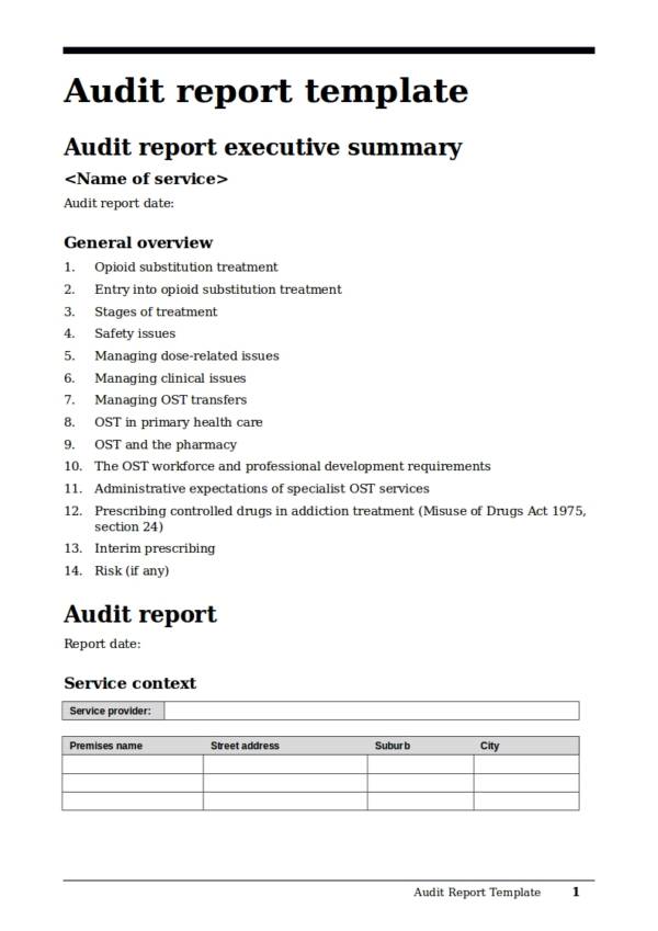 ministry of health audit report template