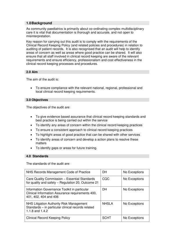 printable clinical audit report 3