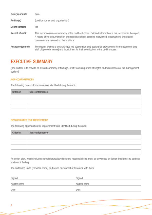 provider compliance audit report template 04