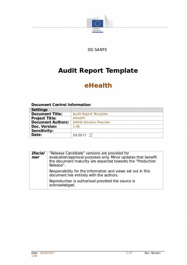 FREE 14 Data Audit Report Samples Templates In PDF