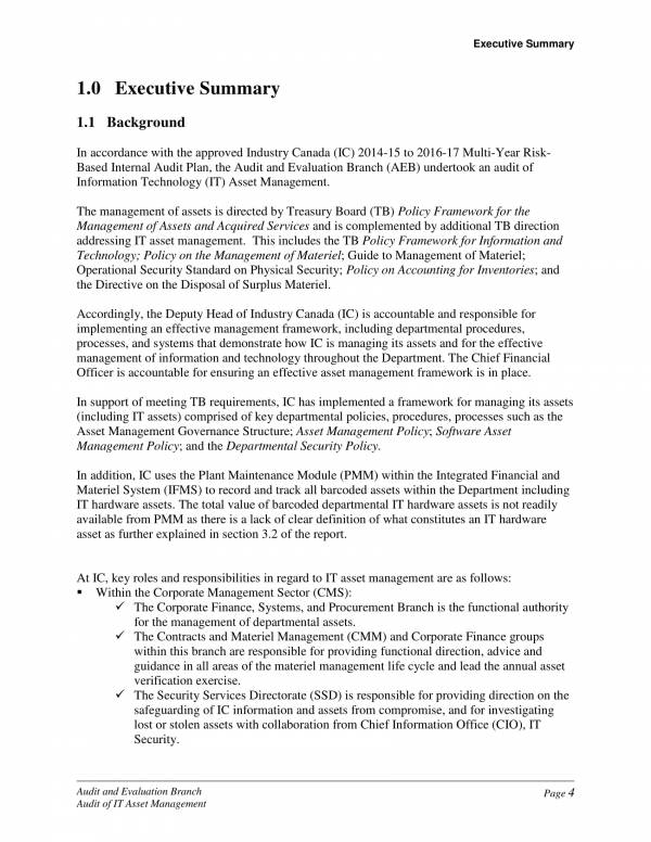 audit report template for it asset management 05