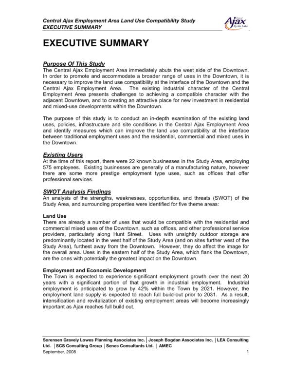 swot analysis paper example