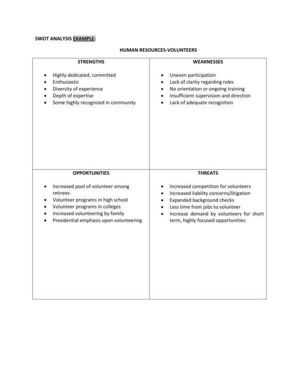 human resources volunteers swot analysis 1