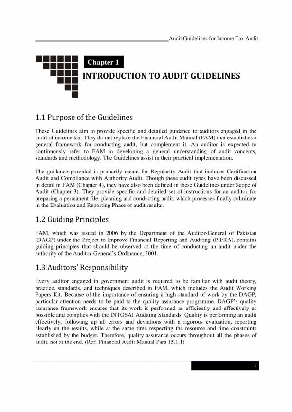 income tax audit guidelines 015