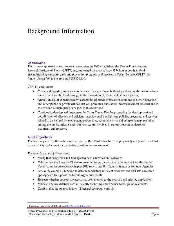 information technology internal audit report 04