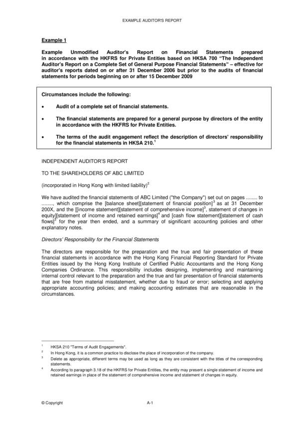 printable private company audit report template 1