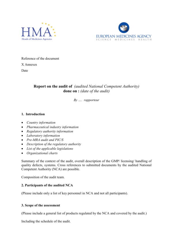 blank laboratory audit report template 1