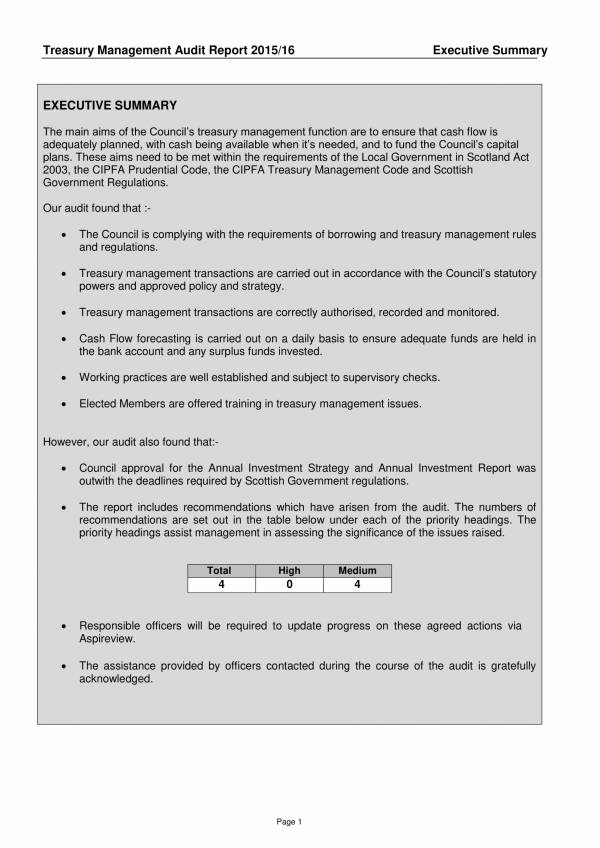internal audit report sample on treasury management 2
