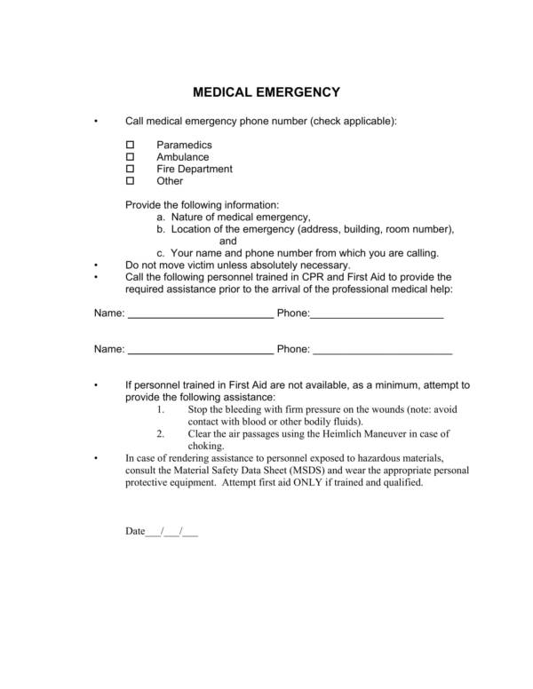 emergency care plan template 08