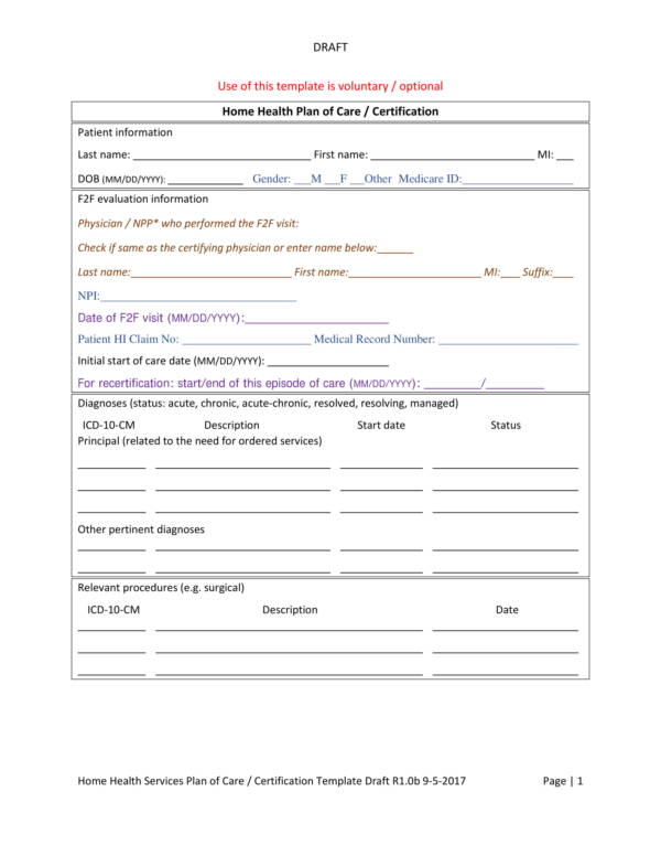 Home Care Plan Template