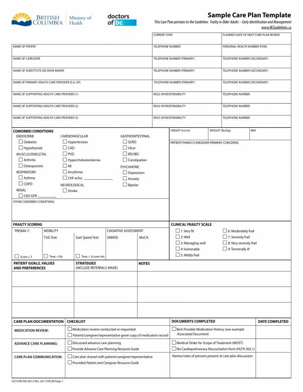 Free Care Plan Template Printable