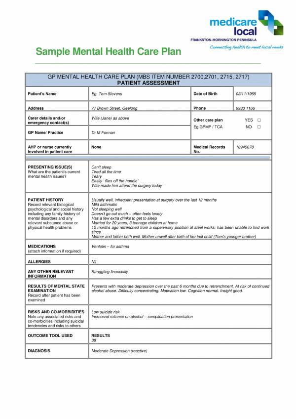 FREE 16 Patient Care Plan Templates In PDF MS Word