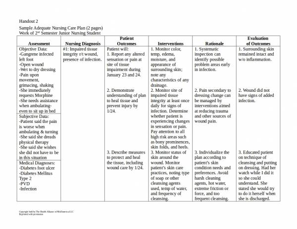 Free 16 Patient Care Plan Templates In Pdf Ms Word 5032