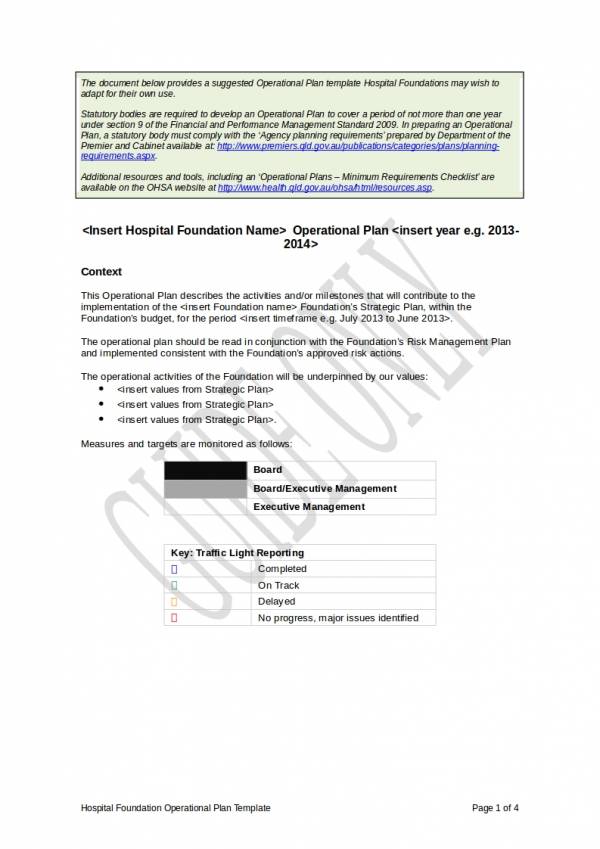 hospital foundation operational plan template