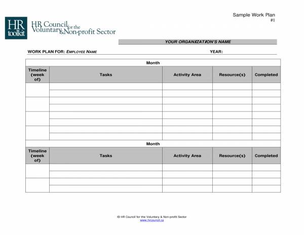 work plan template for voluntary and non profit sector 1